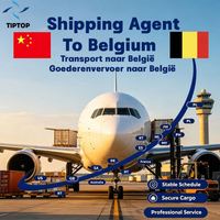 Agent de transport Belgique Transport aérien Aéroport international d'Anvers Ddp Express Services d'entrepôt Services d'expédition de fret