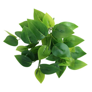 Plantes Artificielles – Bouquet de 7 Branches de Feuilles de Monnaie, Décoration Murale Végétale, 32 cm, Intérieur/Extérieur, Transfrontalier - Product Image 5