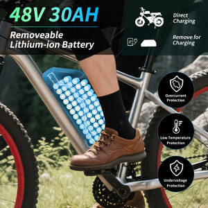 大容量 ダウンチューブ バッテリー 36V <span class=keywords><strong>48V</strong></span> 52V 36V 41.6Ah <span class=keywords><strong>48V</strong></span> 30Ah 52V 26Ah 電動自転車 リチウムバッテリー BMS・充電器付き 0-2000W モーター用 - Product Image 5