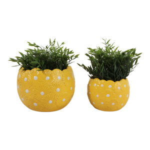 Set di due vasi in ceramica con disegno a margherite e pois gialli, per interni ed esterni. - Product Image 2