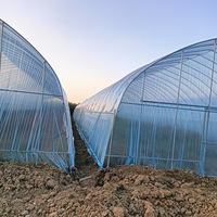 Grande serre tunnel agricole à simple travée avec système hydroponique, ventilation manuelle/électrique, installation facile pour