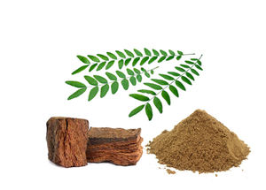 Extrait de catechu d'acacia de qualité supérieure 8:1 poudre d'épice naturelle à partir de matière végétale pure pour application culinaire de boisson aromatisante - Product Image 2