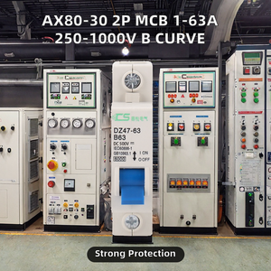 Interruptor Automático Miniatura (MCB) AX80-30, 2 Polos, Cobre, 1-63A, CA 250V-1000V, Capacidad de Ruptura 4.5kA/6kA, Curva B, Riel DIN - Product Image 2