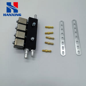 Kit Unità Spray Rail Grigio <span class=keywords><strong>2</strong></span> Ohm per Modifica da Olio a Gas LPG/CNG per Veicoli, Componenti per Veicoli a Gas - Product Image 2