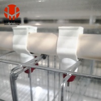 Cages à poules pondeuses automatiques galvanisées de type A pour fermes avicoles commerciales en Asie du Sud-Est