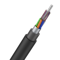Câble à fibres optiques extérieur anti-rongeurs G652D (FS)