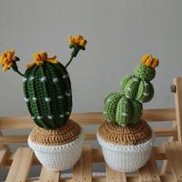 Nouvelle plante en pot miniature artisanale au crochet, style bohème, pour décoration intérieure, idéale pour les cadeaux de remise de diplôme, de fêtes et d'anniversaires