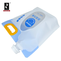 Sachet de conservation alimentaire transparent réutilisable de qualité alimentaire, étanche à l'humidité, scellé, type retort, pour riz et céréales, avec bec verseur portable