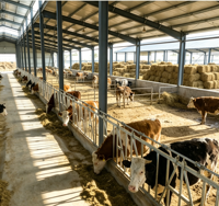 Abri pour bétail, hangar d'élevage, abri pour vaches, moutons, chèvres, structure en acier préfabriquée