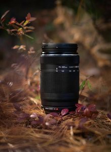 Sistema OM M.Zuiko ED 75-300 mm F/4.8-6.7 II - Product Image 4