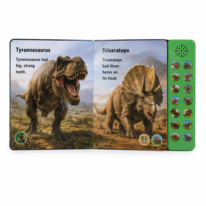 Libro Sonoro Interattivo per Bambini con Dinosauri, Libro Musicale con Suoni Realistici, Pulsanti a Pressione, OEM Personalizzato, Produzione ODM - Product Image 4