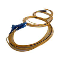 Divisor Óptico de Fibra ABS FTTH PLC 1x2 1x4 1x8 1x16 1x32 1x64 con Conectores SC y LC para Redes 4G 3G en Exteriores