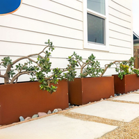 Lit de jardin surélevé en acier pour jardinière de fleurs potagères Bord Corten Jardinière Lits