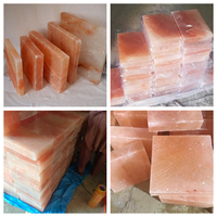 Vente en gros Carreaux de sel de l'Himalaya pour sauna mural Salles de spa Artisanat naturel décoratif pour la construction d'air purifié