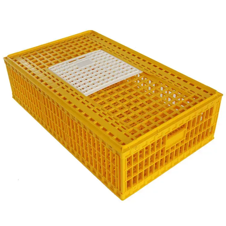 New Poultry Plastic Transport Crate Chicken Turnover Box cages for Farm Use for Duck Pigeon and Other Birds in Retail