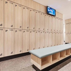 High Technology Modern Sports Gym Cabinets Storage <strong>Lockers</strong> School Metal <strong>Locker</strong> Steel Wardrobe Staff Worker Ski Slope <strong>Lockers</strong>