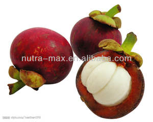 Kualitas Terbaik 100% Buah Manggis Alami Pericarp Ekstrak Bubuk Polyphenole - Product Image 3