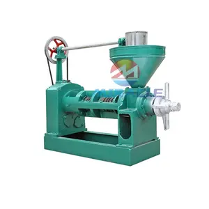 Easy operation and high output screw oil press machine essential oil pressing machine for sale