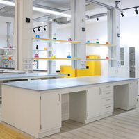 Table de laboratoire latérale de banc de travail d'étagère de réactif de cadre en H d'acier médical d'école