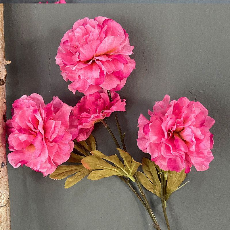 #3 rHot Rose fleur