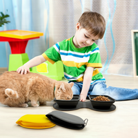 Vente chaude Accessoires pour animaux de compagnie en silicone d'extérieur Mangeoire pour animaux de compagnie pliable double anti-étouffement à alimentation lente Bol pour chat et chien