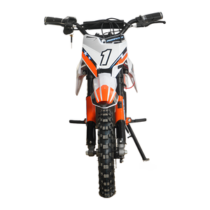 MAXSPEED Bicicleta Eléctrica 36V 800W 12AH con Batería de Plomo-Ácido, Frenos de Disco Dobles, 40km/h para Ciclismo al Aire Libre, Motor 500W/800W/1000W - Product Image 1