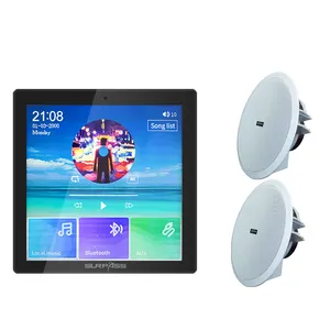 Smart Home Audio Set Wi-Fi 2*25W Blue-Tooth Trong Tường Amplifier Android Với Thụ Động Trong Loa Trần