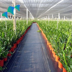 <span class=keywords><strong>Polietileno</strong></span> <span class=keywords><strong>de</strong></span> alta densidad estabilizado a los rayos UV para <span class=keywords><strong>sombra</strong></span> agrícola y mallas parasol - Product Image 6
