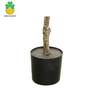 Albero Bonsai Artificiale Podocarpus 150cm, Albero <span class=keywords><strong>Zen</strong></span> Finto a 5 Strati con Potatura a Nuvola e Tronco Naturale per Decorazione Interna - Product Image 3
