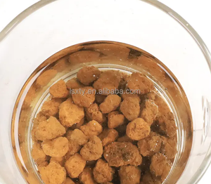 Kit de mélange de terreau moderne <span class=keywords><strong>pour</strong></span> bonsaï avec conteneur en plastique, incluant Akadama, Pierre ponce, Pierre de lave et Moyen de culture Red Jade - Product Image 5