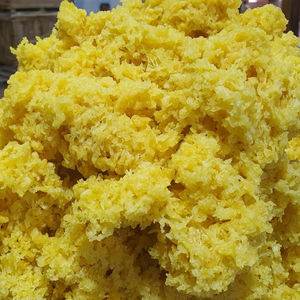 [B2B] Caoutchouc naturel brut du Vietnam, qualité d'extrusion SVR 3L, haute résistance, conteneur de 20 pieds pour l'industrie des pneus, en provenance du Vietnam - Product Image 2