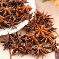 Anís Estrellado Premium de Alta Calidad, Especias Secas, 1 kg, Venta al por Mayor, Origen China, 24 Meses de Duración, Listo para Usar