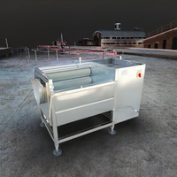 YUNWEI industriel légumes frais laveuse éplucheur Machine brosse rouleau Type oignon racine manioc carotte gingembre pomme de terre 1100W