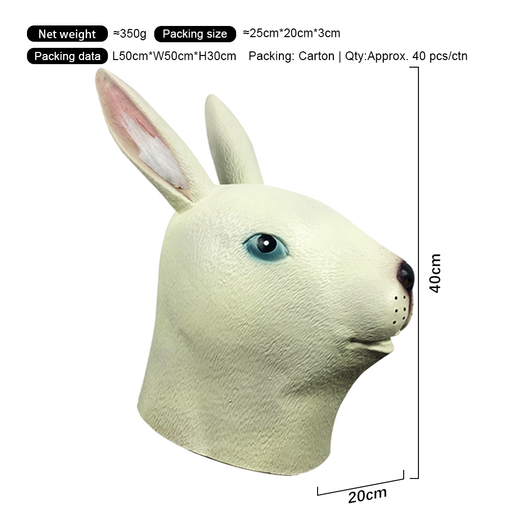 Lapin blanc