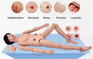 Mannequin en PVC de haute qualité, livraison numérique intelligente avancée et simulateur d'urgence maternelle et néo-natale, Offres Spéciales - Product Image 3