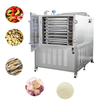 Lyophilisateur industriel commercial de prix de dessiccateur de vide de fruits de café