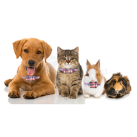 Collier de suivi intelligent pour chats avec GPS Collier de chien portable 4G avec haut-parleur GPS et microphone Tracker GPS pour chien
