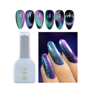 Kit de vernis gel œil de chat magnétique 9D coréen 10ml haute pigmentation pour salon, fournitures professionnelles, <span class=keywords><strong>prix</strong></span> fabricant bas - Product Image 2