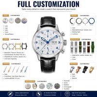 Montre mécanique automatique pour homme avec logo personnalisé OEM, boîtier de 42 mm, verre saphir incurvé, affichage du mois 24 heures sur 24, sous-cadran zodiacal, multifonction
