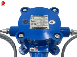 Sonde double ignifuge Pt100 2BWZGJ avec gaine flexible en acier inoxydable anti-pliage, câble long, personnalisable OEM/ODM IP66 - Product Image 5