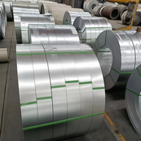 Bande d'acier Aluzinc haute résistance en bobine étroite, revêtue d'Al-Zn, 55% Al-Zn, en acier Galvalume pour tuyaux flexibles et toitures