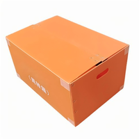 Usine meilleur prix PP Poly carton boîte pliable en plastique ondulé chiffre d'affaires étui d'expédition bacs de Transport avec fermeture à bande magique