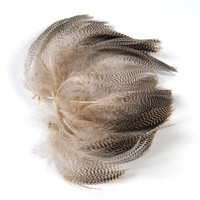 Plumes de flanc de canard colvert naturel, plumes de canard colvert barbés, plumes de canard colvert sauvage, plumes de canard colvert à barbe pour ailes de mouches, queues, streamers, matériel de montage de mouches