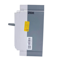 Disjoncteur à boîtier moulé CHINT NM8N MCCB 3P 125A 250A 400A 630A pour système d'énergie solaire photovoltaïque