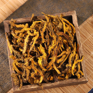 Vente en gros de haute qualité Huang Lian RHIZOMA COPTIDIS Racine de coptis séchée - Product Image 2