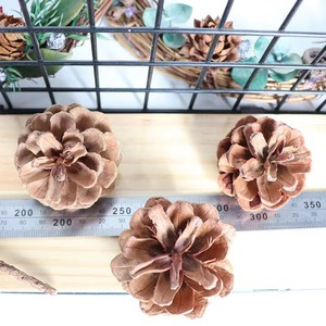Ramo de cono de pino, flores <span class=keywords><strong>preservadas</strong></span> para bebés, flores secas de Color blanco, respiración de bebé para decoración de bodas o casas - Product Image 2