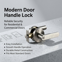 Serrure de porte à levier en acier inoxydable 304 antirouille, couleur acier, réglable 60-70 mm, à loquet simple pour porte intérieure de chambre