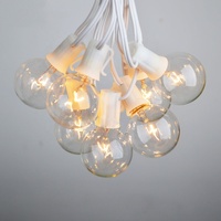 Guirlande lumineuse de jardin en verre de 25 pieds, 110V-220V, guirlande de patio transparente, guirlande lumineuse à ampoules G40, IP44, garantie 1 an, fête, mariage