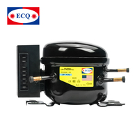 ECQ Refrigeration DC Freezer Compressor, 12V, 24V