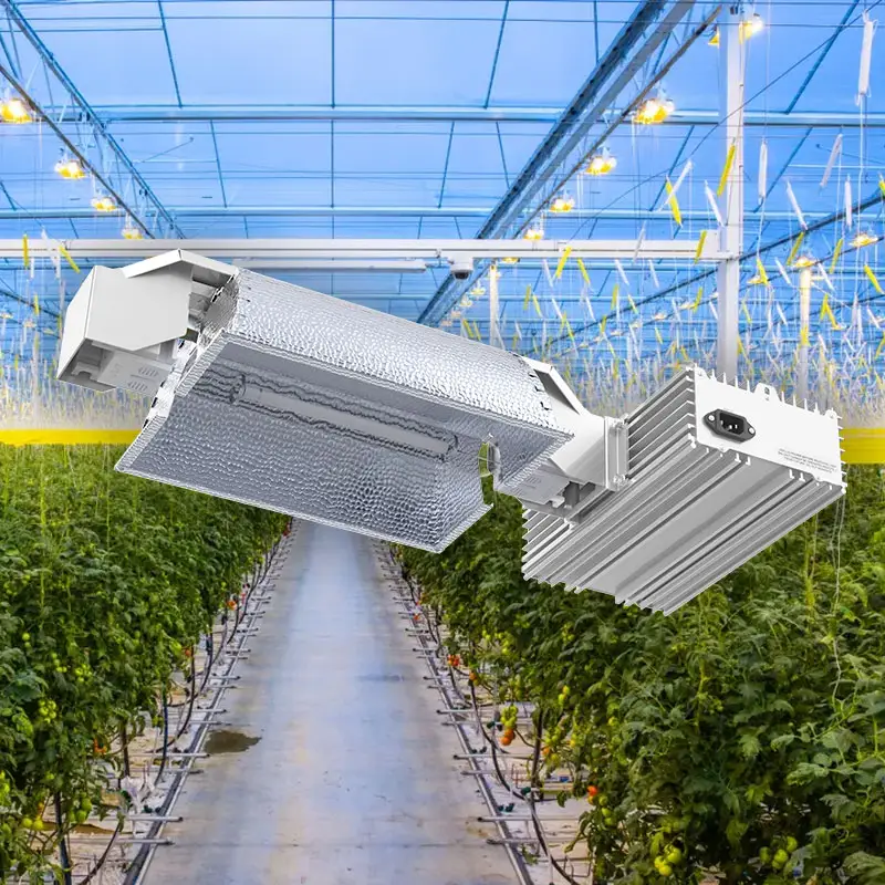 Großhandel Double Ended Digital Ballast Hps Grow Light 1000w für Hydro ponik Grow Light